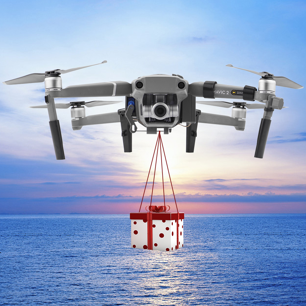 Remote Thrower Delivery Batter - Drone Rc Pro 2 บทวิจารณ์และราคา